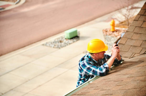 Best Roof Moss and Algae Removal  in Watts Mills, SC